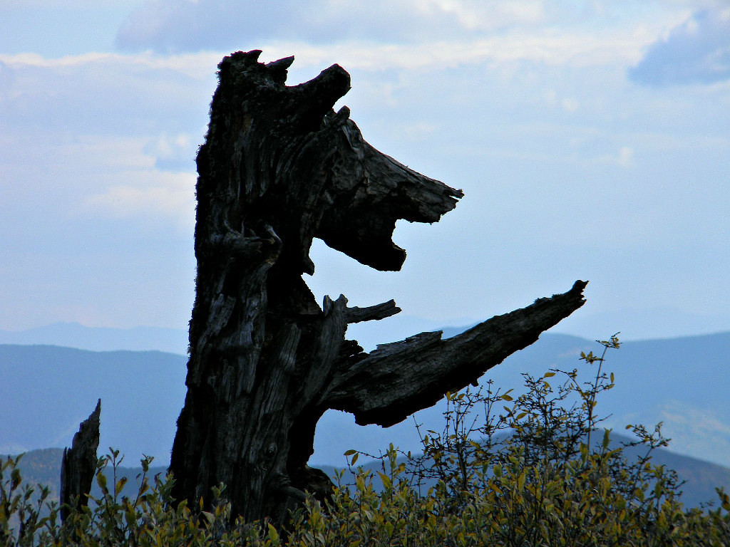 Beauty of Altai - Autumn in Altai, When my uncle's apiary is far away., archive, Longpost