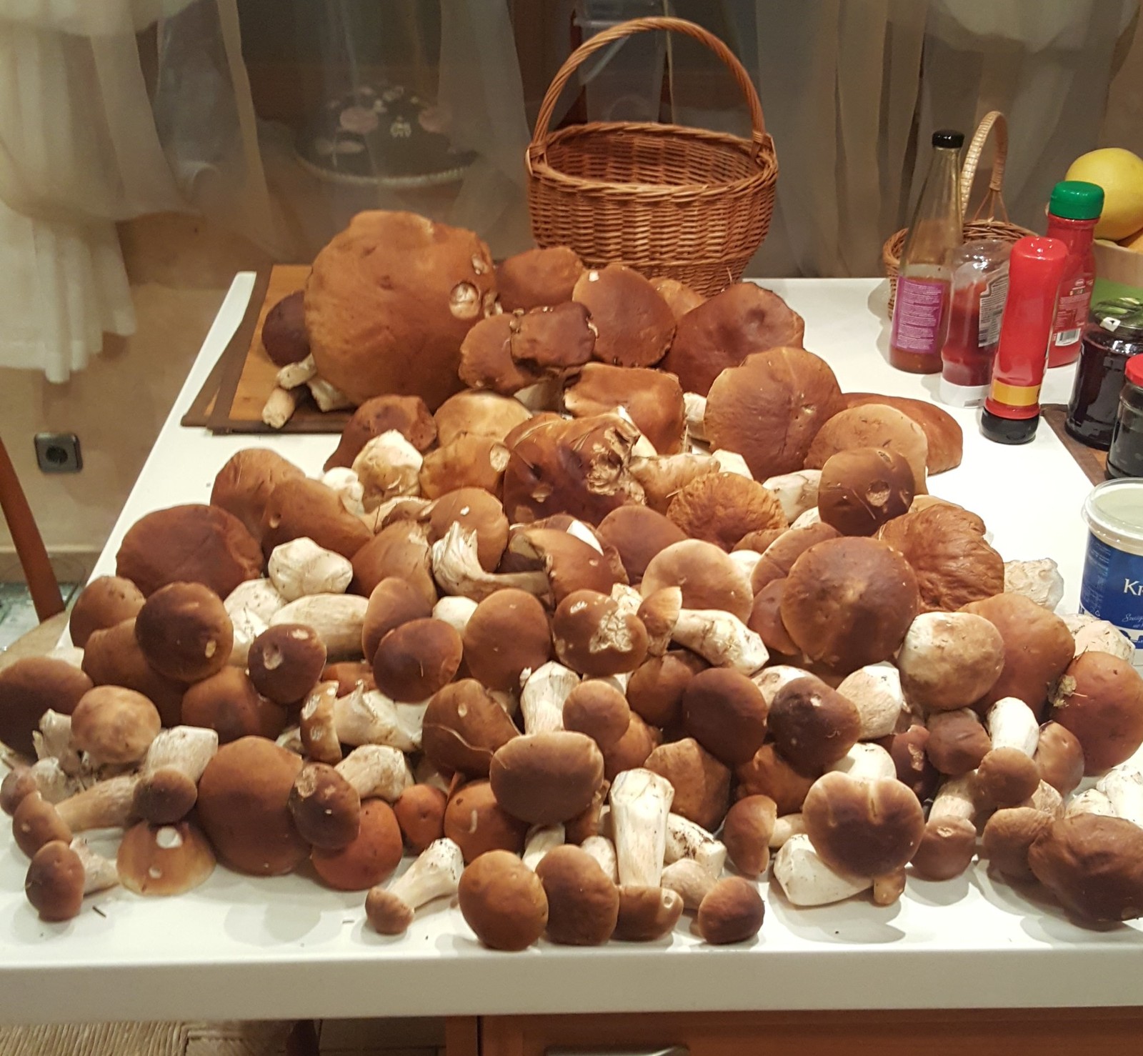 Went mushrooming - My, Porcini, Mushrooms, Silent hunt, Longpost