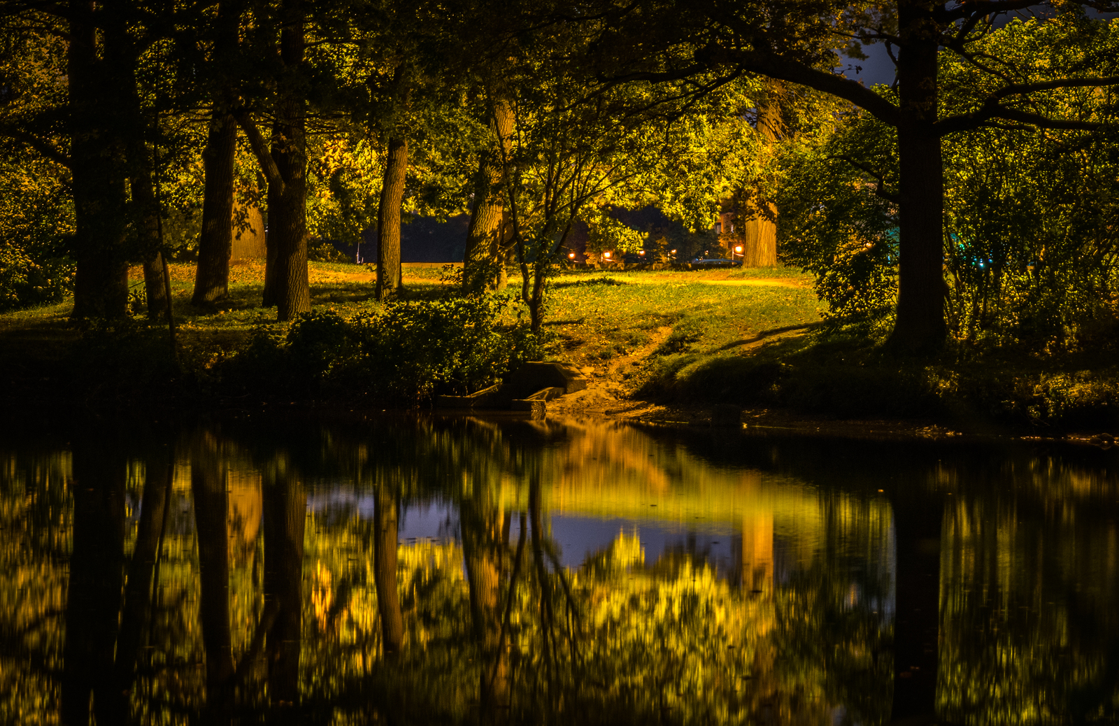 Night Central Park - My, Night, Saint Petersburg, Cpcchio, Autumn, Canon 24-70, Longpost