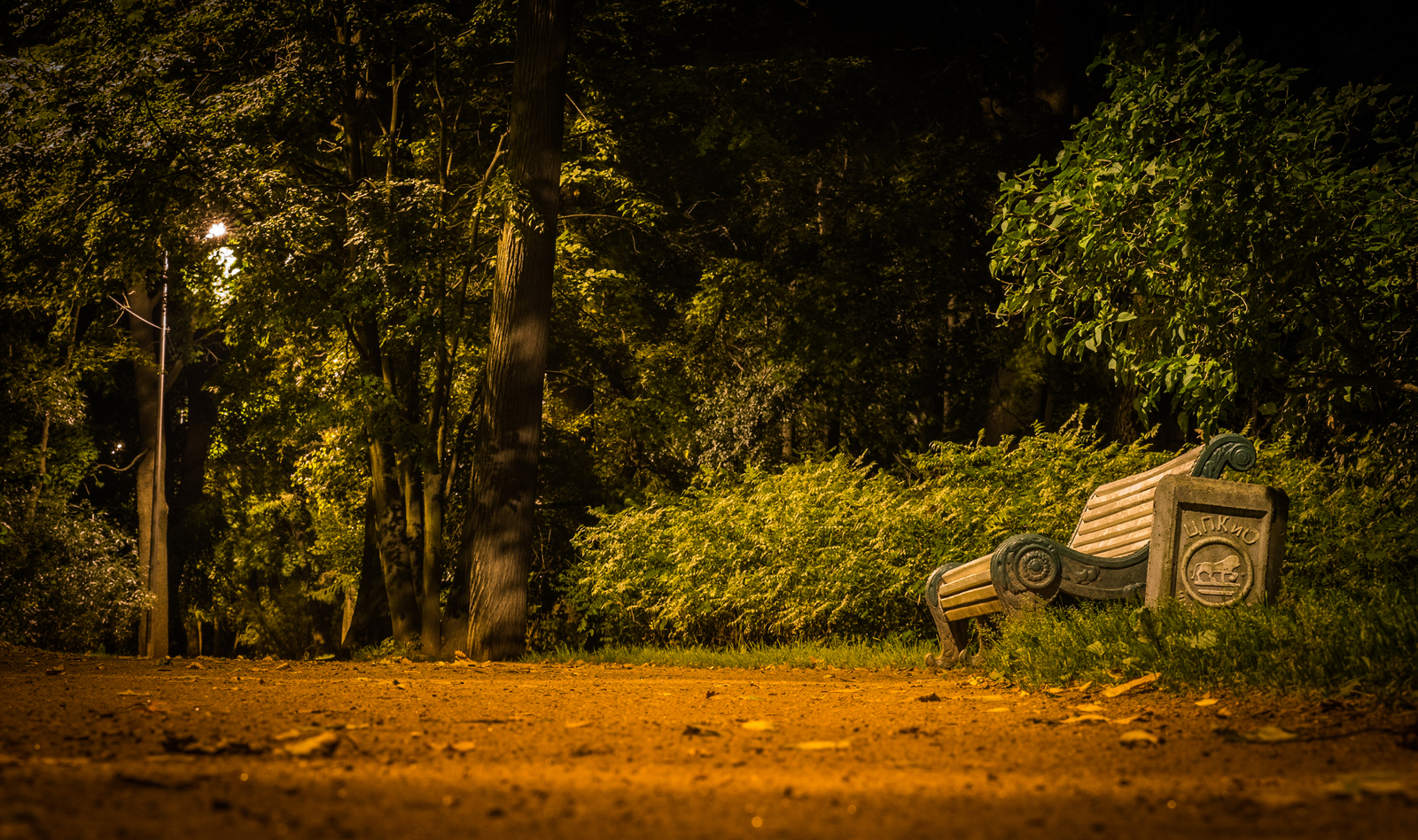 Night Central Park - My, Night, Saint Petersburg, Cpcchio, Autumn, Canon 24-70, Longpost