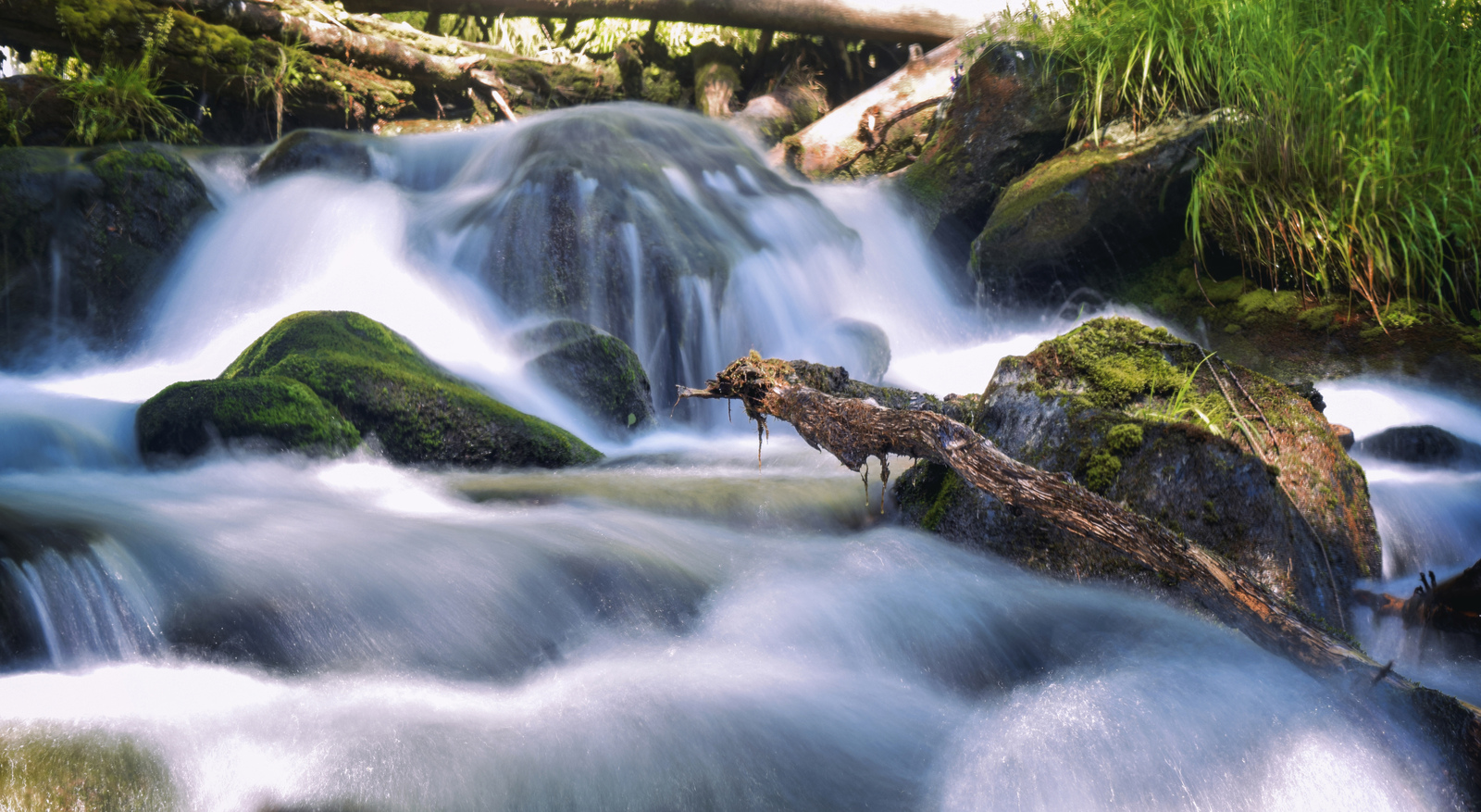 Rivers of Altai - My, Nikon d5300, Altai Republic, Akkem