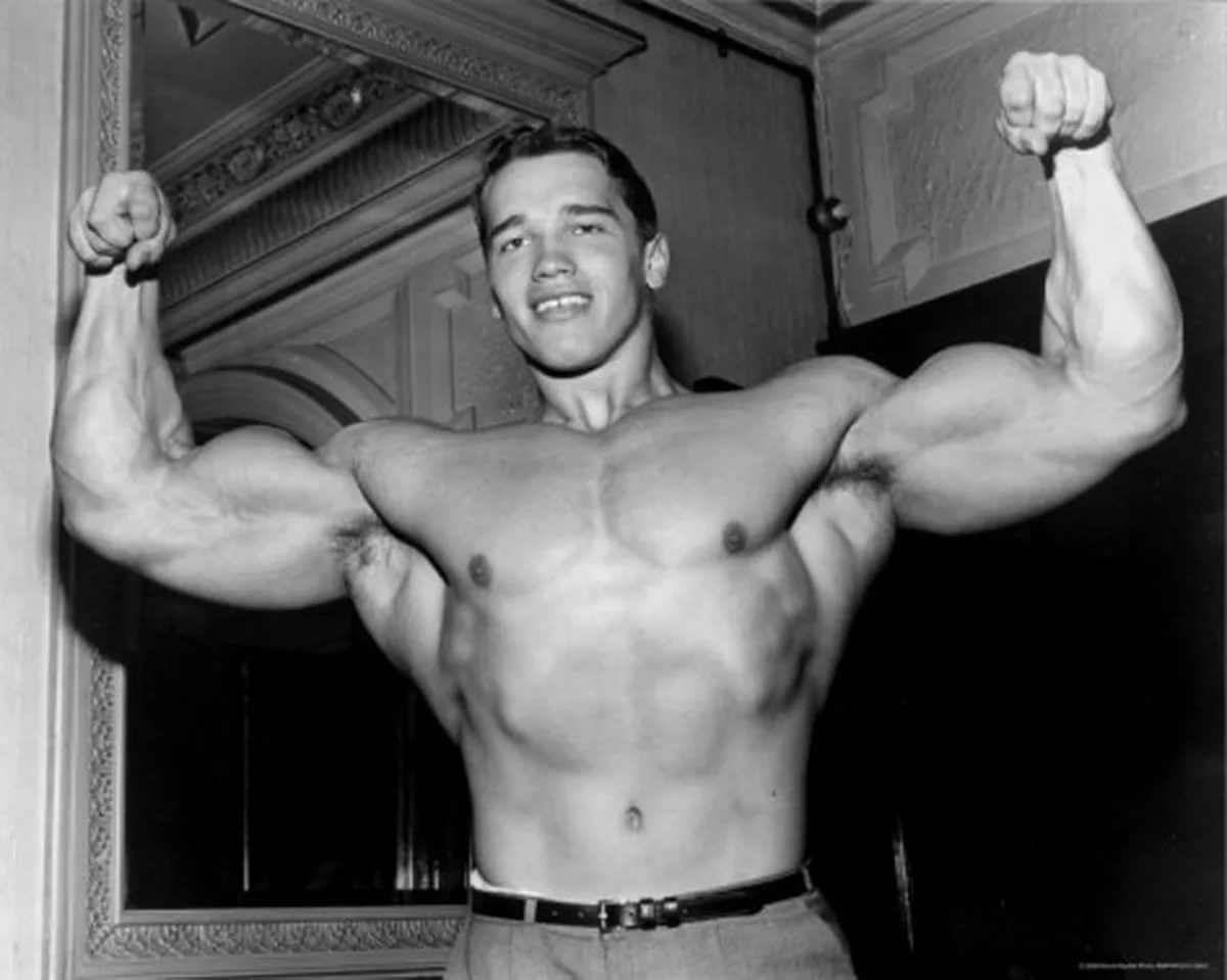 10 interesting facts about Arnold Schwarzenegger - Arnold Schwarzenegger, Facts, Interesting, Longpost