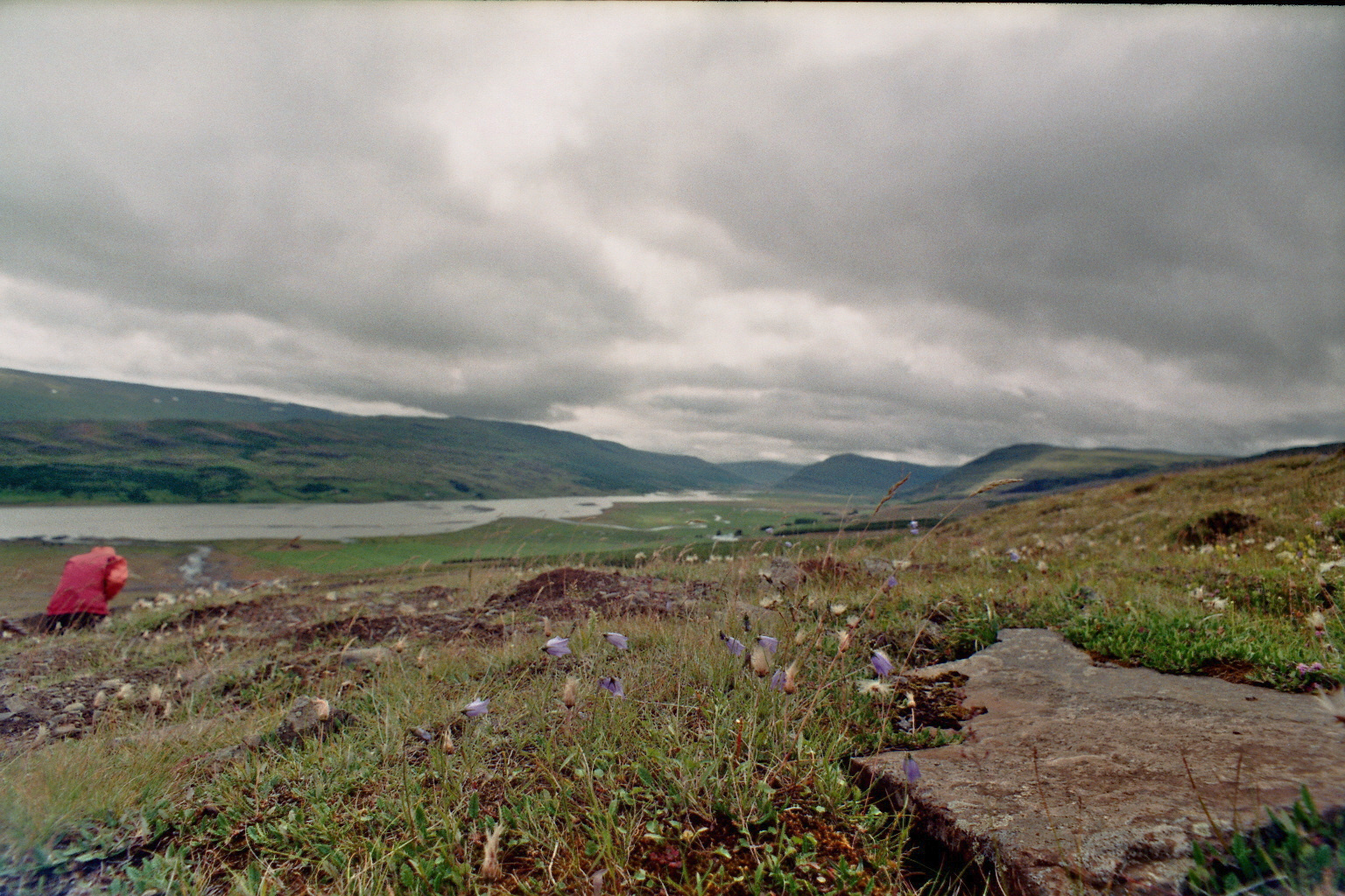 A bit of Iceland from film - My, Iceland, Travels, Adventures, Film, camera roll, Longpost