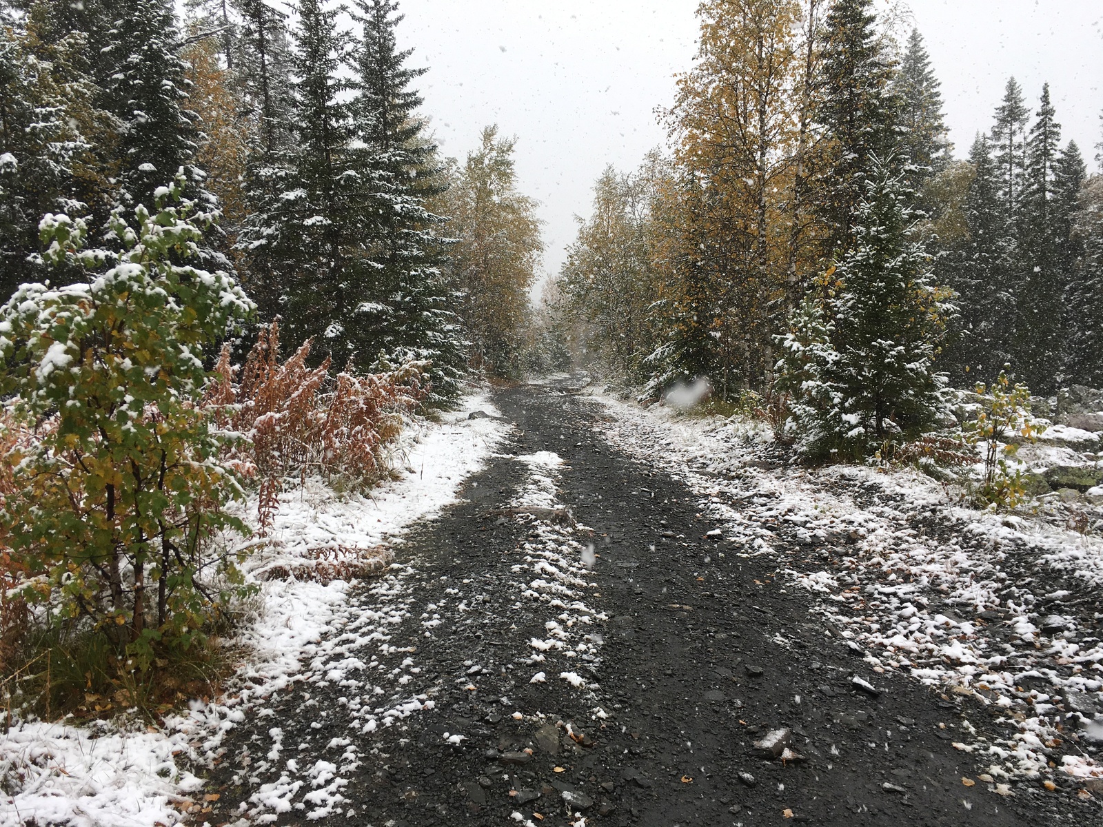 Mount Nurgush, Zyuratkul National Park. - My, The mountains, Nature, Chelyabinsk region, Zyuratkul, Snow, Longpost, GIF