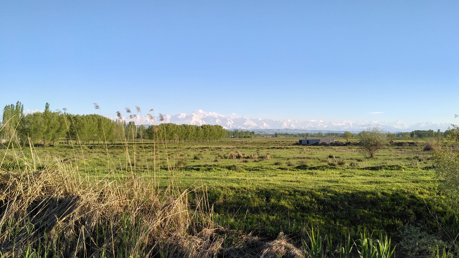 Evening views. - My, Kyrgyzstan, Osh, The photo, Landscape, Evening, Nature, The mountains, Enthusiasm, Longpost