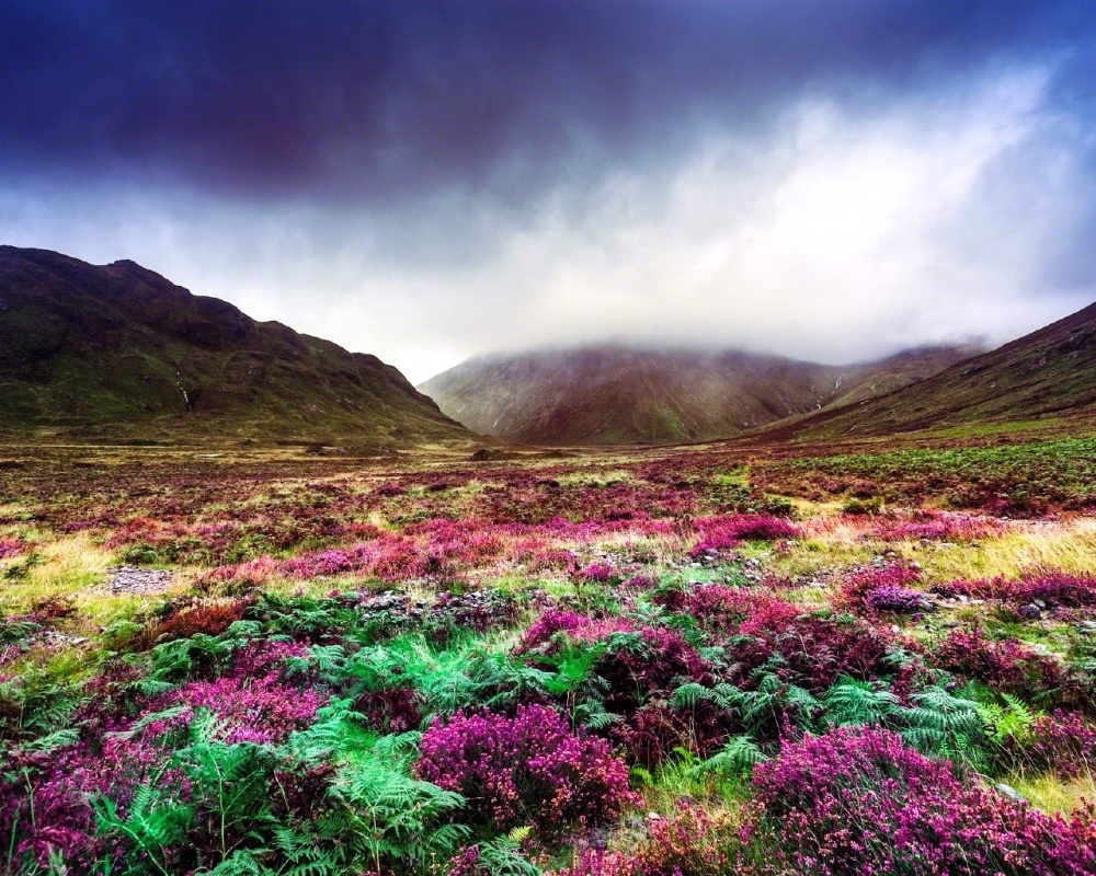 Scotland. - Scotland, Country, beauty, Nature, The photo, A selection, Longpost
