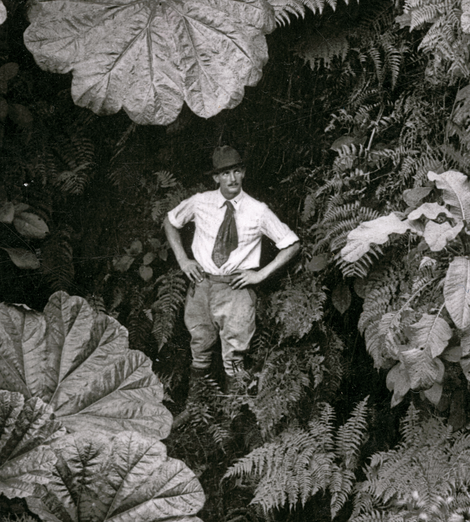 Thumb boy. - The photo, Hawaii, Interesting, The national geographic, Longpost