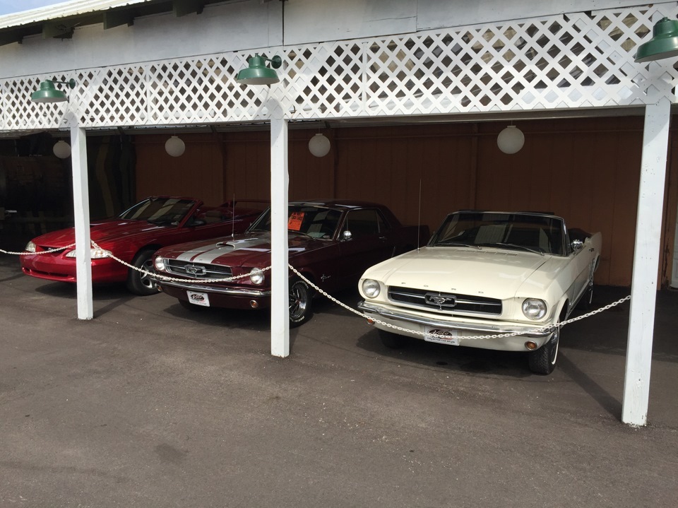 May Day in Chicago, Auto Museum Volo - Mustangs. - My, Museum, Chicago, Mustang, Boss, , , Longpost