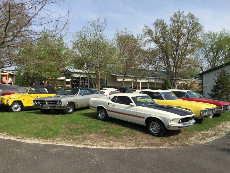 May Day in Chicago, Auto Museum Volo - Mustangs. - My, Museum, Chicago, Mustang, Boss, , , Longpost