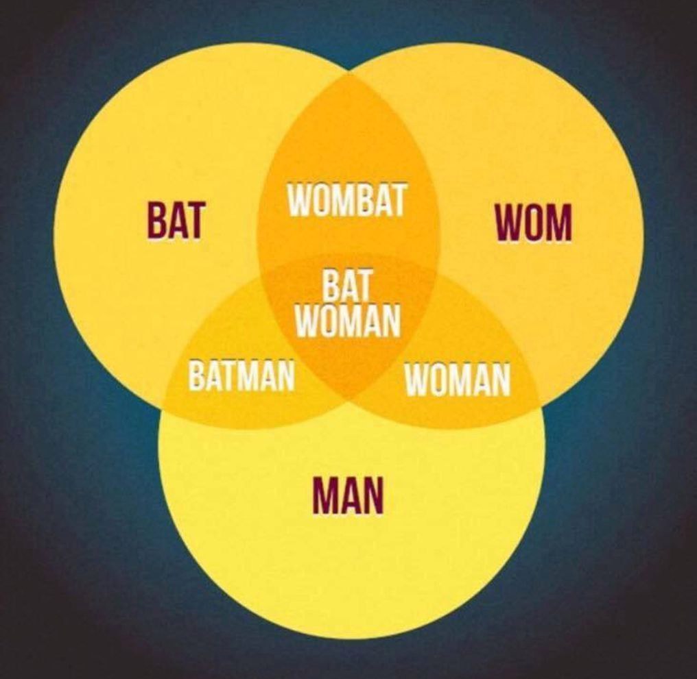 Wombat obtained by crossing - Diagram, Images