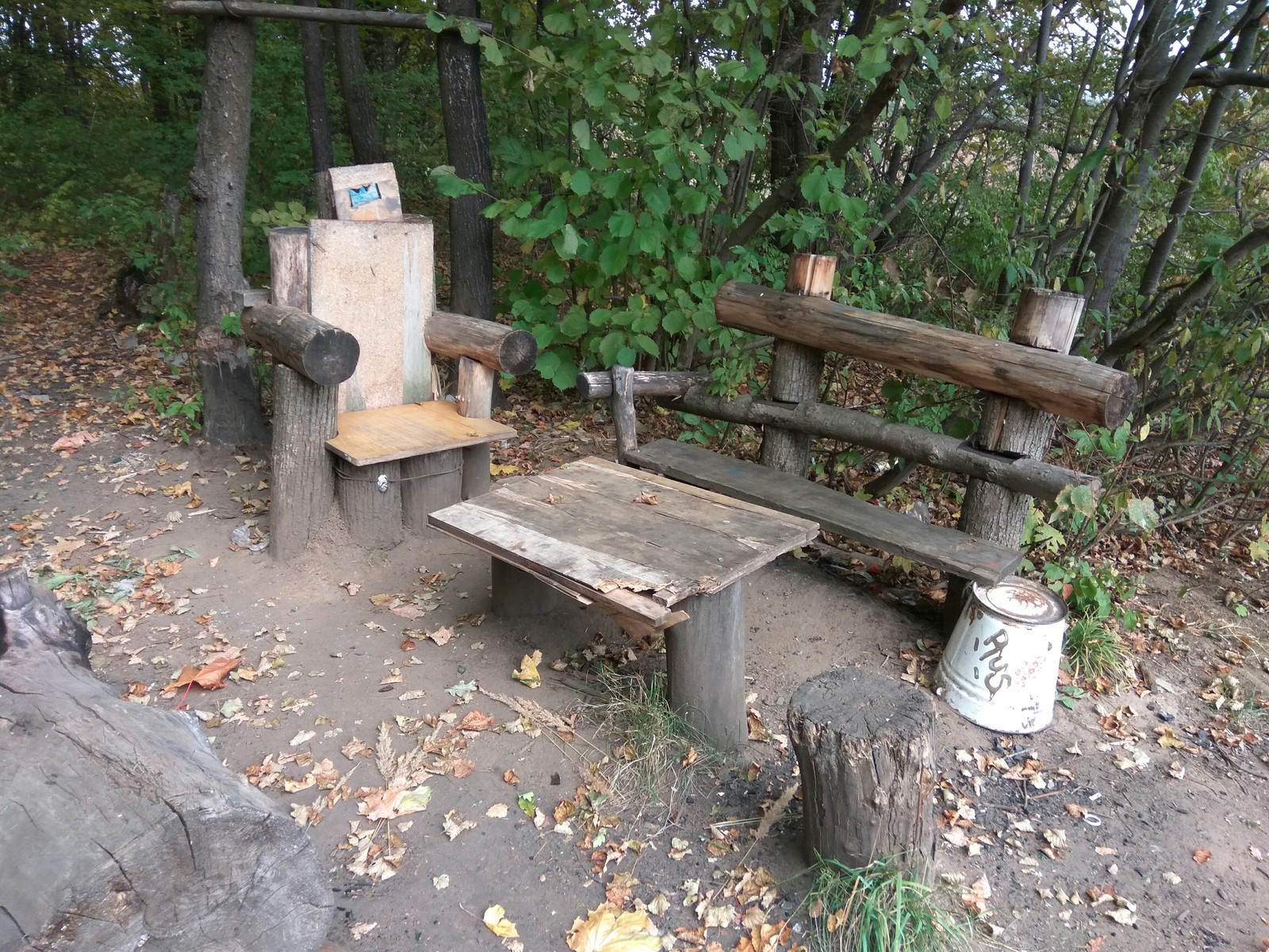 What can be found in the forest park - My, Forest, Forest Park, Track, Longpost, Squirrel, Abandoned house, Throne, Ski track