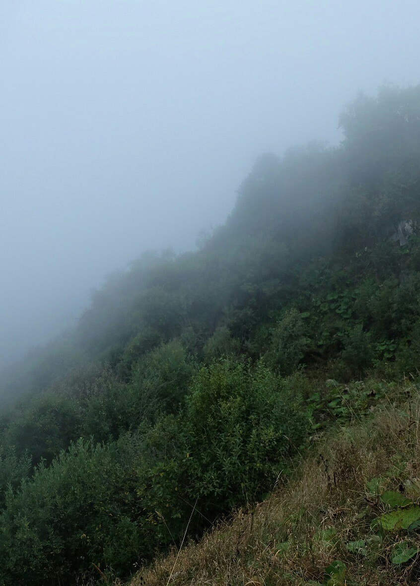 Tyzyl Gorge, Caucasus - My, Landscape, The photo, Tourism, The mountains, Caucasus, Longpost, Fog, 