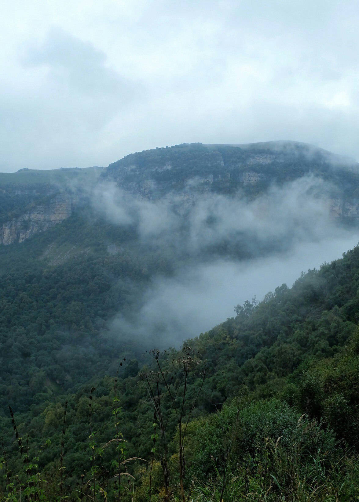 Tyzyl Gorge, Caucasus - My, Landscape, The photo, Tourism, The mountains, Caucasus, Longpost, Fog, 