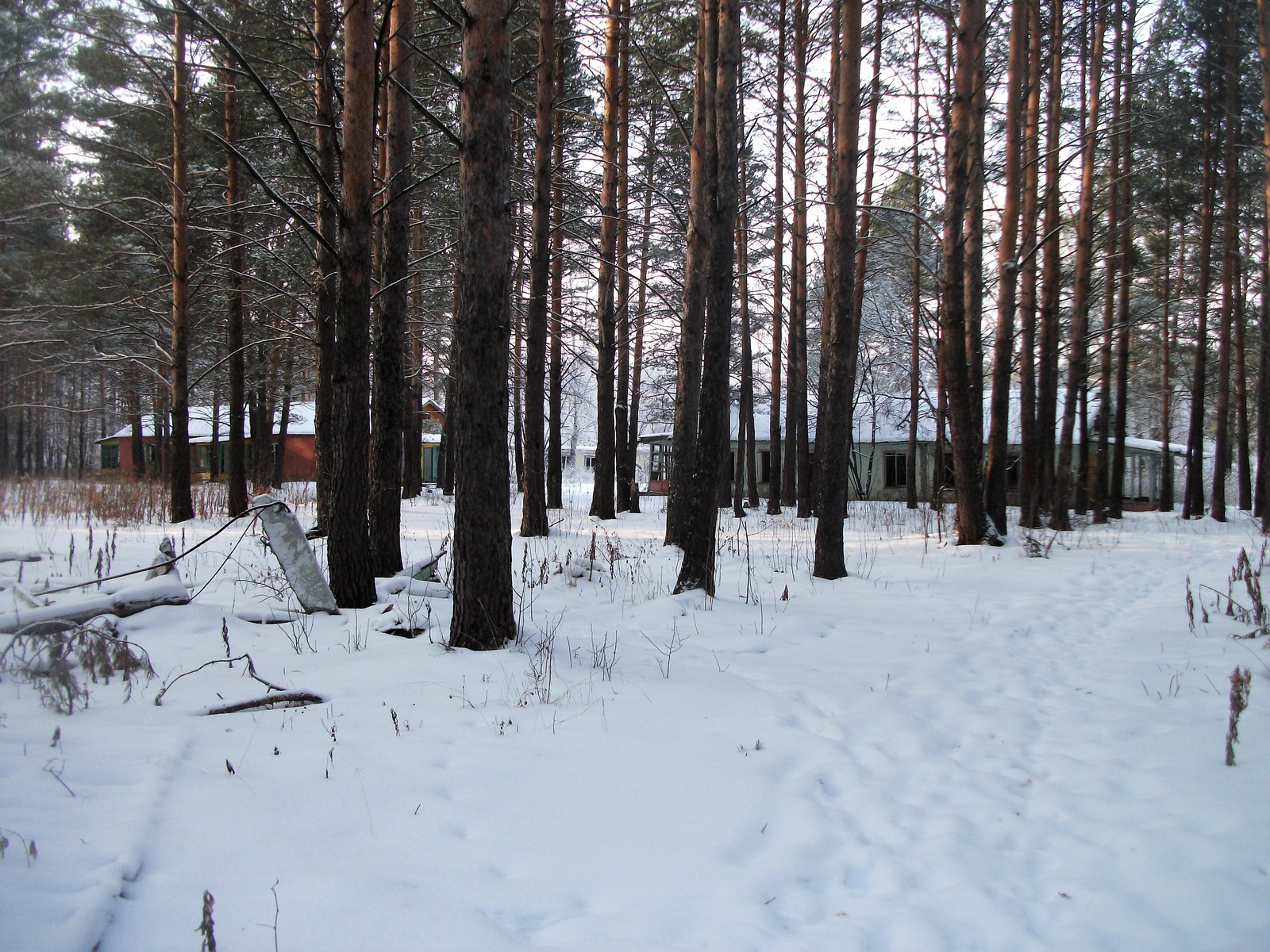 Pioneer camp Forget-me-not - My, Sverdlovsk region, Urbanturism, Abandoned, Notes of a crazy woman, The Beauty of Oblivion, The photo, Longpost