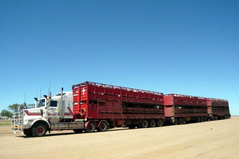 Australia road trains - Australia, Road train, Longpost