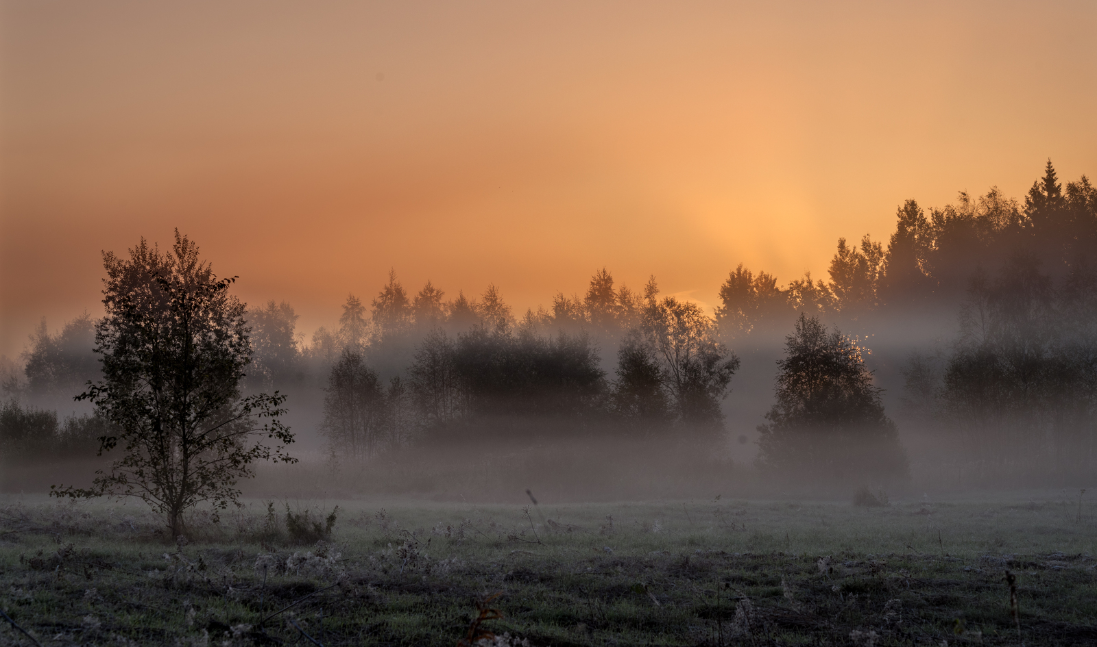 Foggy good morning to you, Peekaboo! - My, The photo, Photographer, Fog, Landscape, Longpost