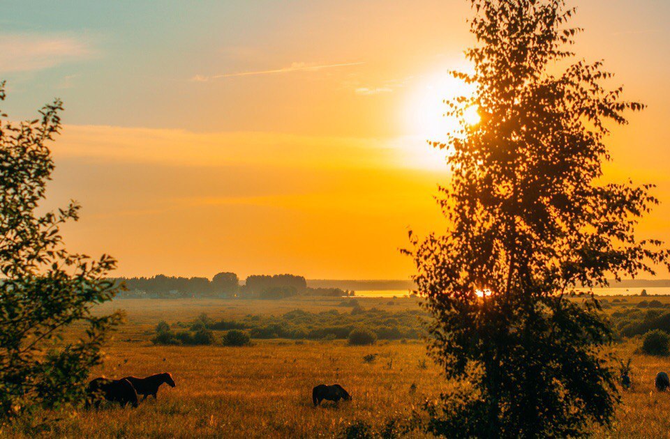 Вечерняя красота - Природа, Красота, Лошади, Россия, Глубинка, Провинция