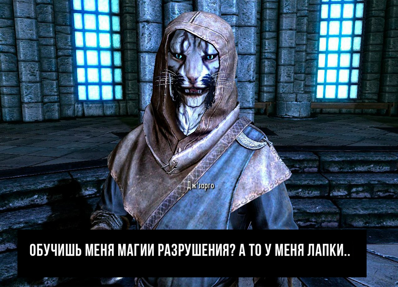 Опять лапки... - Лапки, The Elder Scrolls V: Skyrim, Магия, Каджит, Не мое