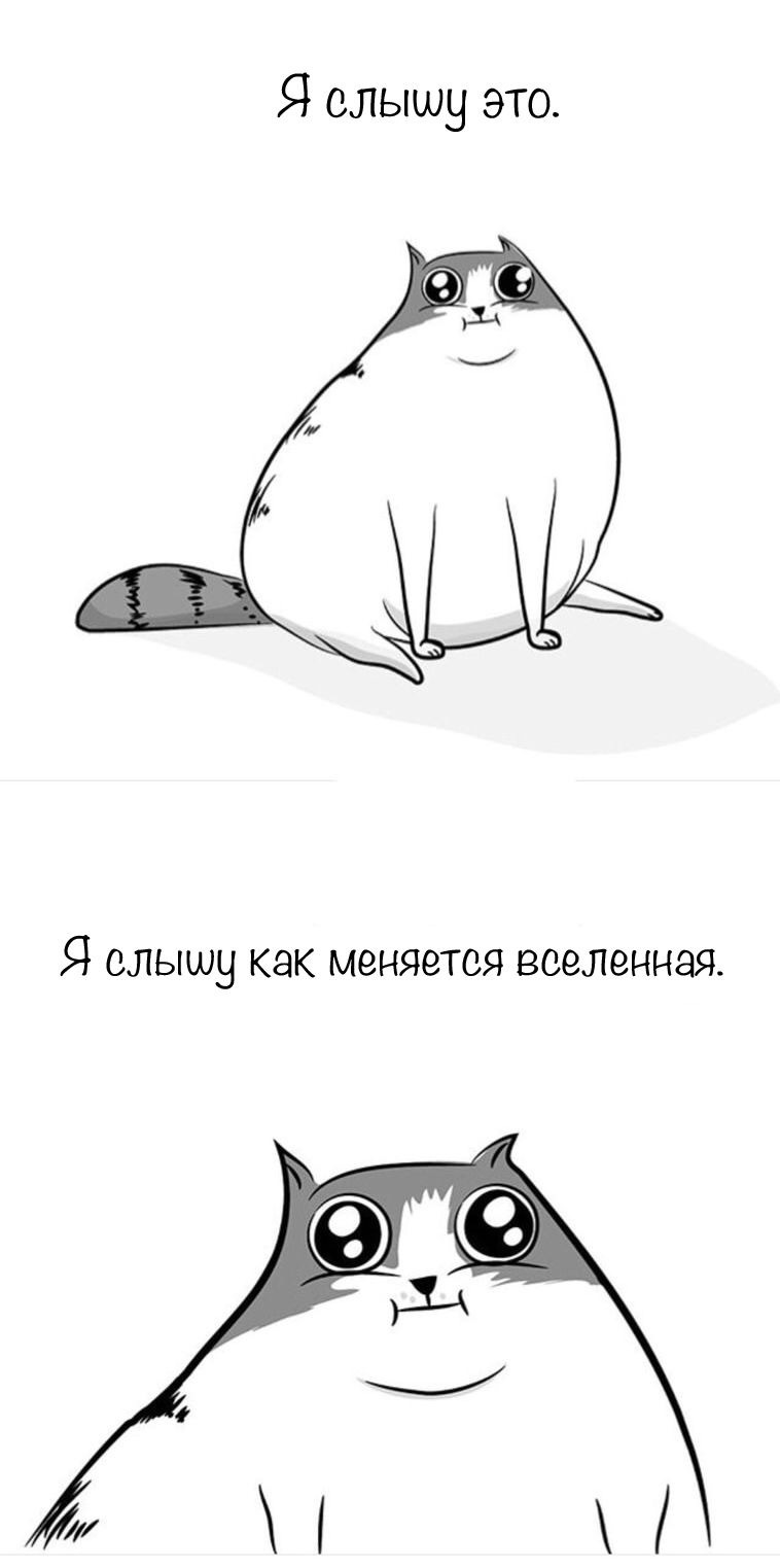 Коты =) - Кот, Космос, Длиннопост, The Oatmeal