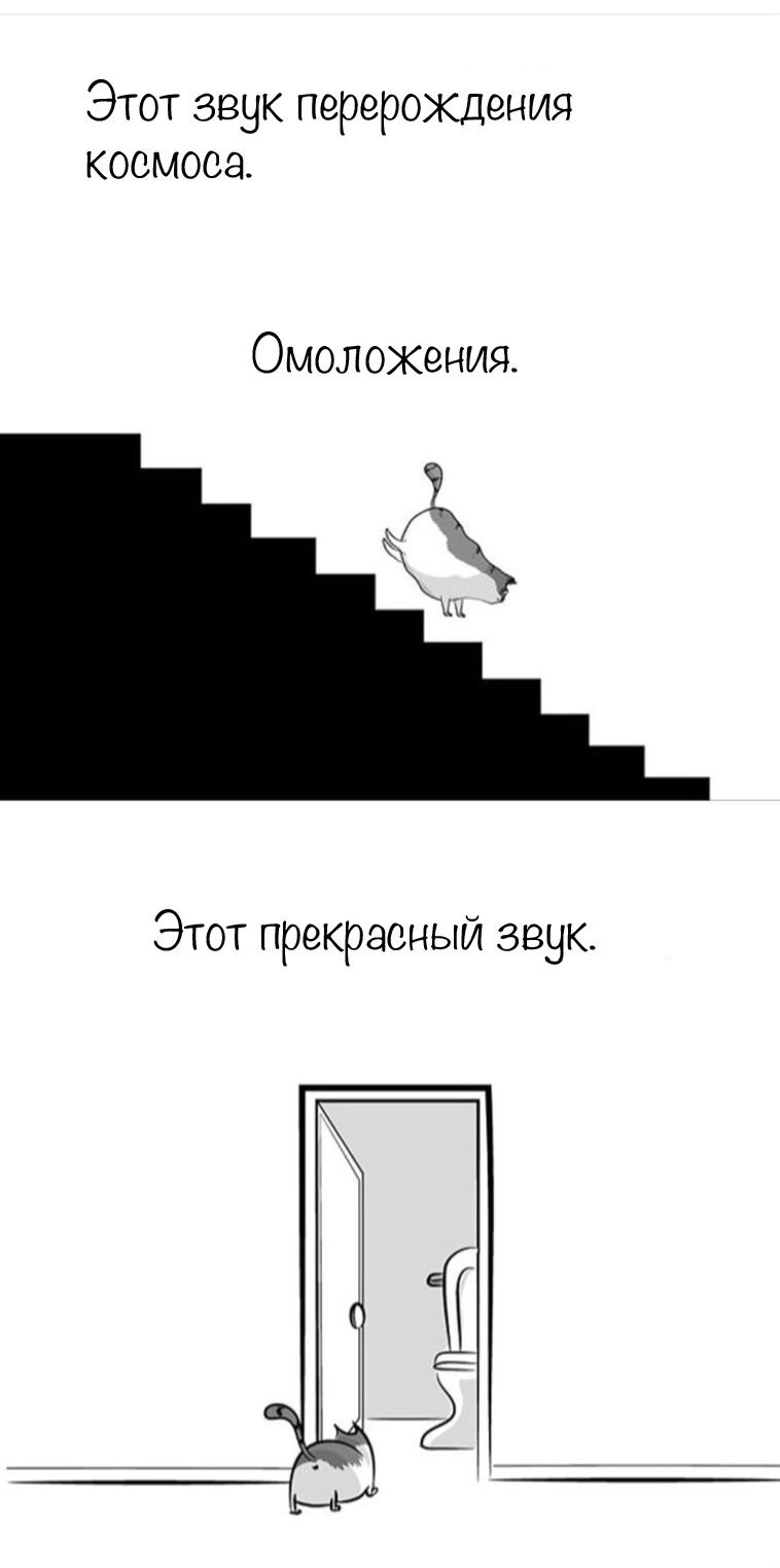 Коты =) - Кот, Космос, Длиннопост, The Oatmeal