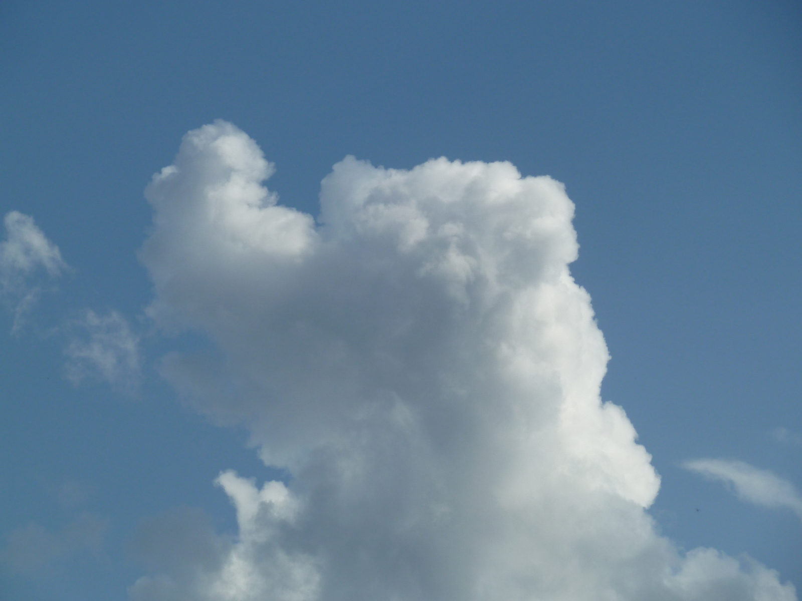 watchdog - My, Clouds, Sky, Dog