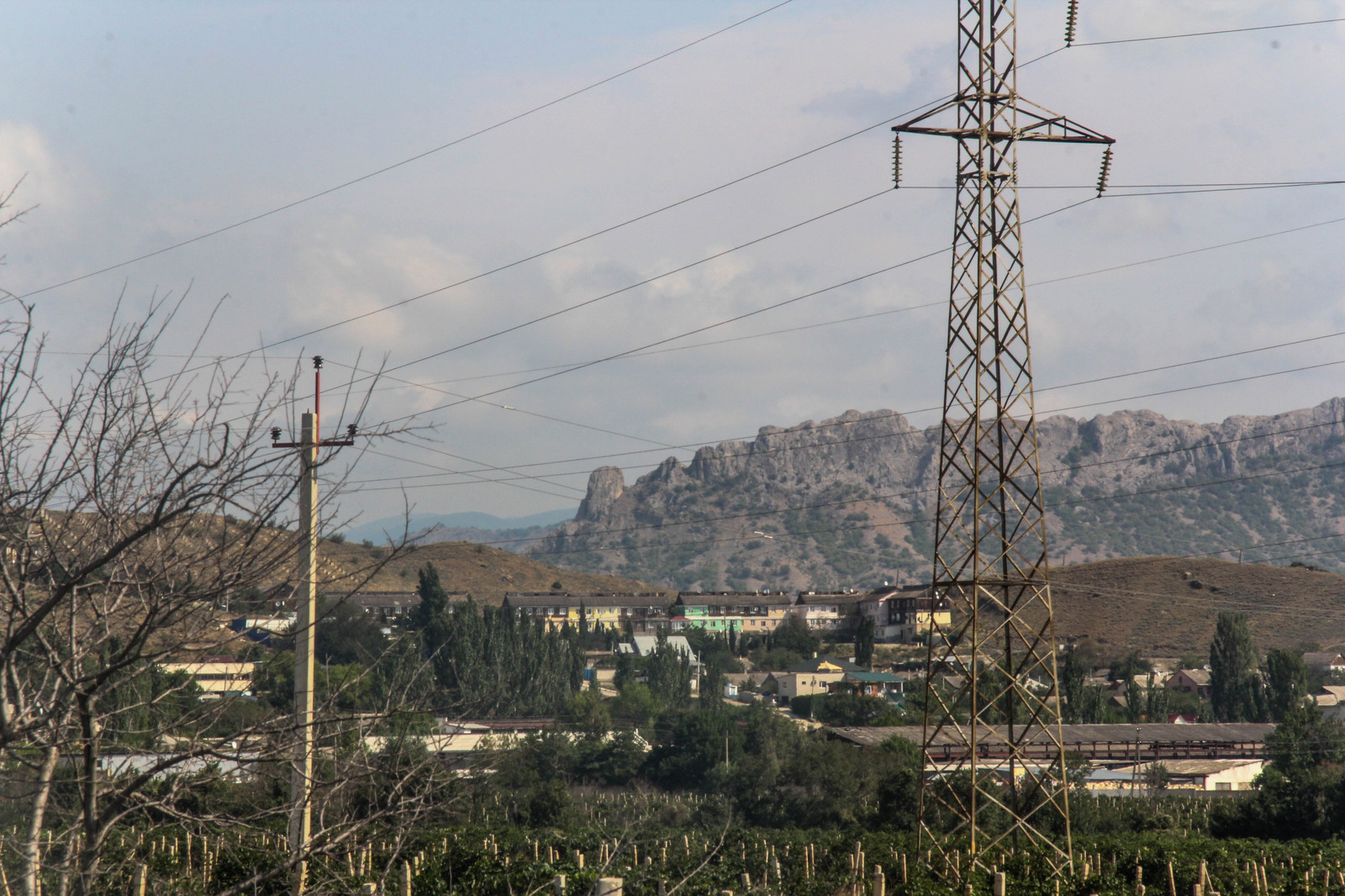 The Crimean Campaign: Behind the Scenes, or Memoirs of an Unlucky Hiker. The first day. Vineyards, blackberries and a mountain lake. - My, Crimea, Hike, Valley of Ghosts, Rybachye, , Vineyard, Travels, Tourism, Longpost