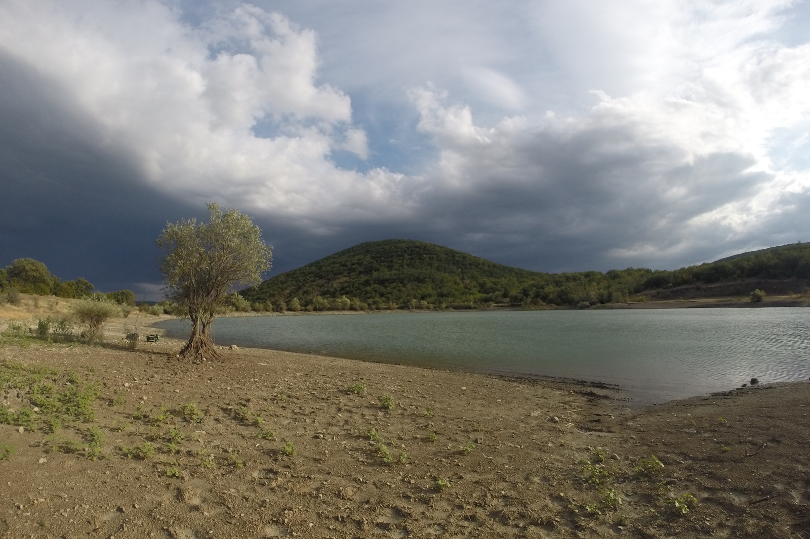 The Crimean Campaign: Behind the Scenes, or Memoirs of an Unlucky Hiker. The first day. Vineyards, blackberries and a mountain lake. - My, Crimea, Hike, Valley of Ghosts, Rybachye, , Vineyard, Travels, Tourism, Longpost