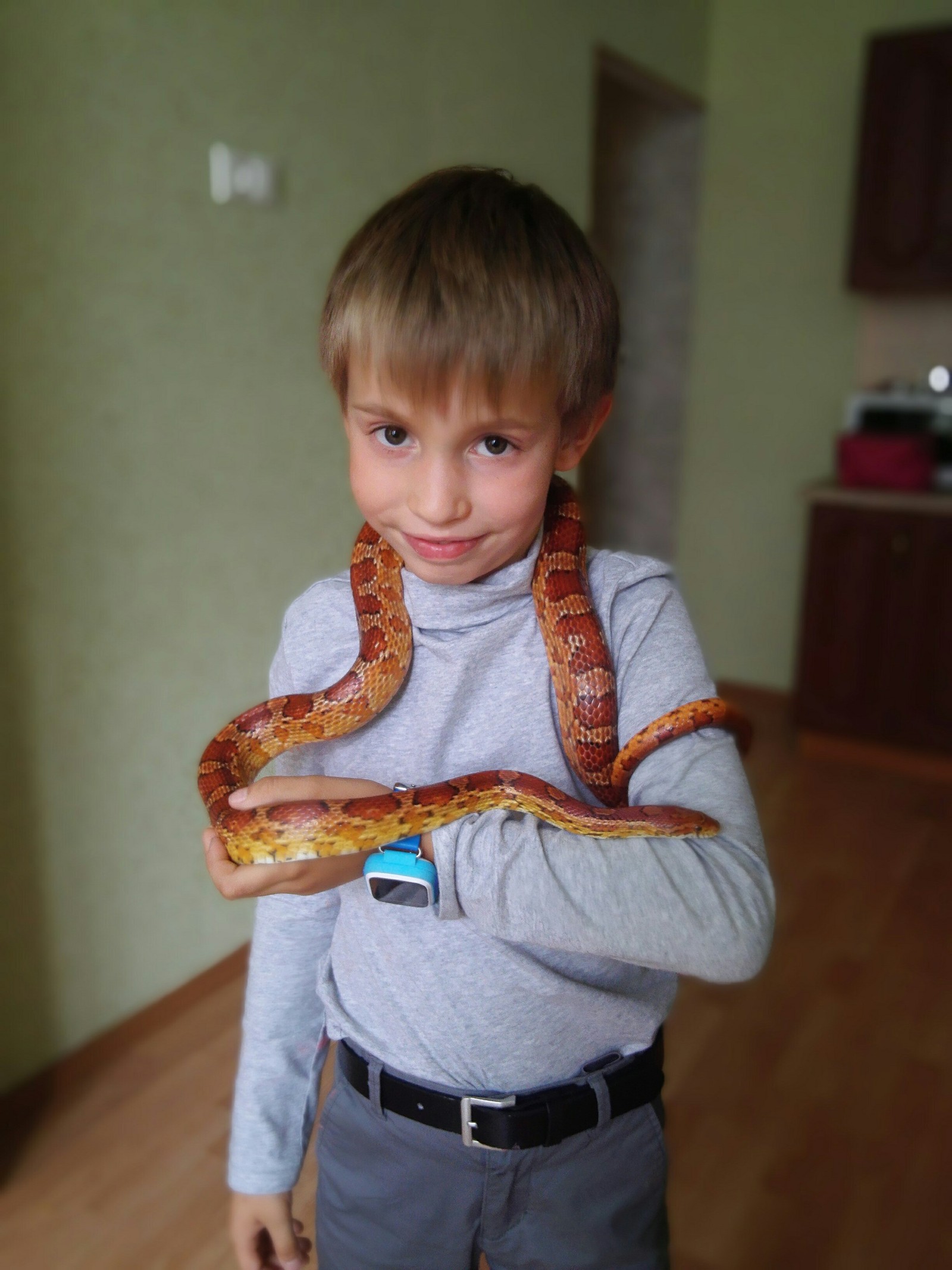 The child begged for a pet for the 5th anniversary. three years difference) - My, Children, Pet, Pets, Longpost