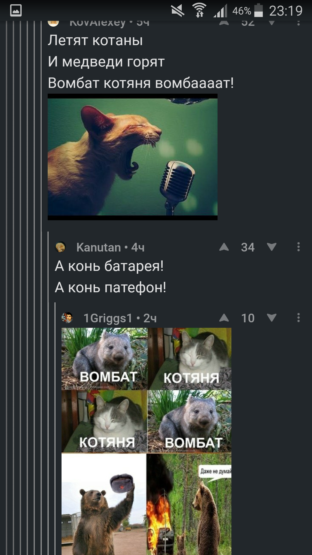 wombat kitty - Tags are clearly not mine, Screenshot, Comments on Peekaboo, Longpost