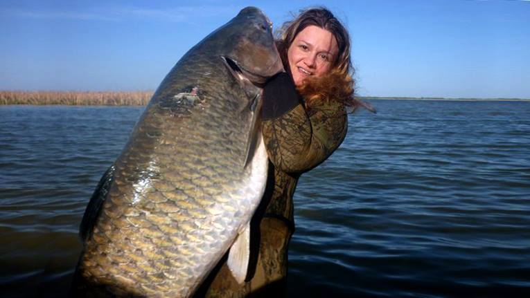 Fish of my dreams. Who knows what kind of copy? - My, Fishing, Hunting and fishing, A fish, Trophy, Caught, Fishermen, 