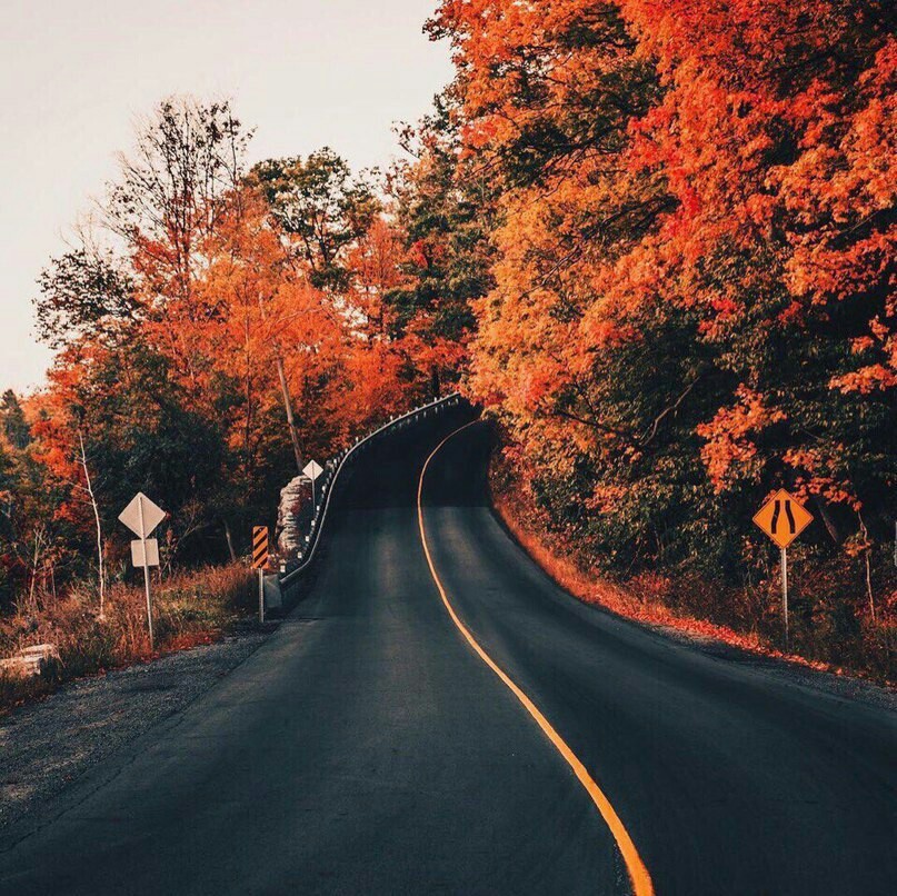 Quiet autumn in the city .. the first days of October .. - Autumn, Images, Longpost, Autumn mood, October, The rescue