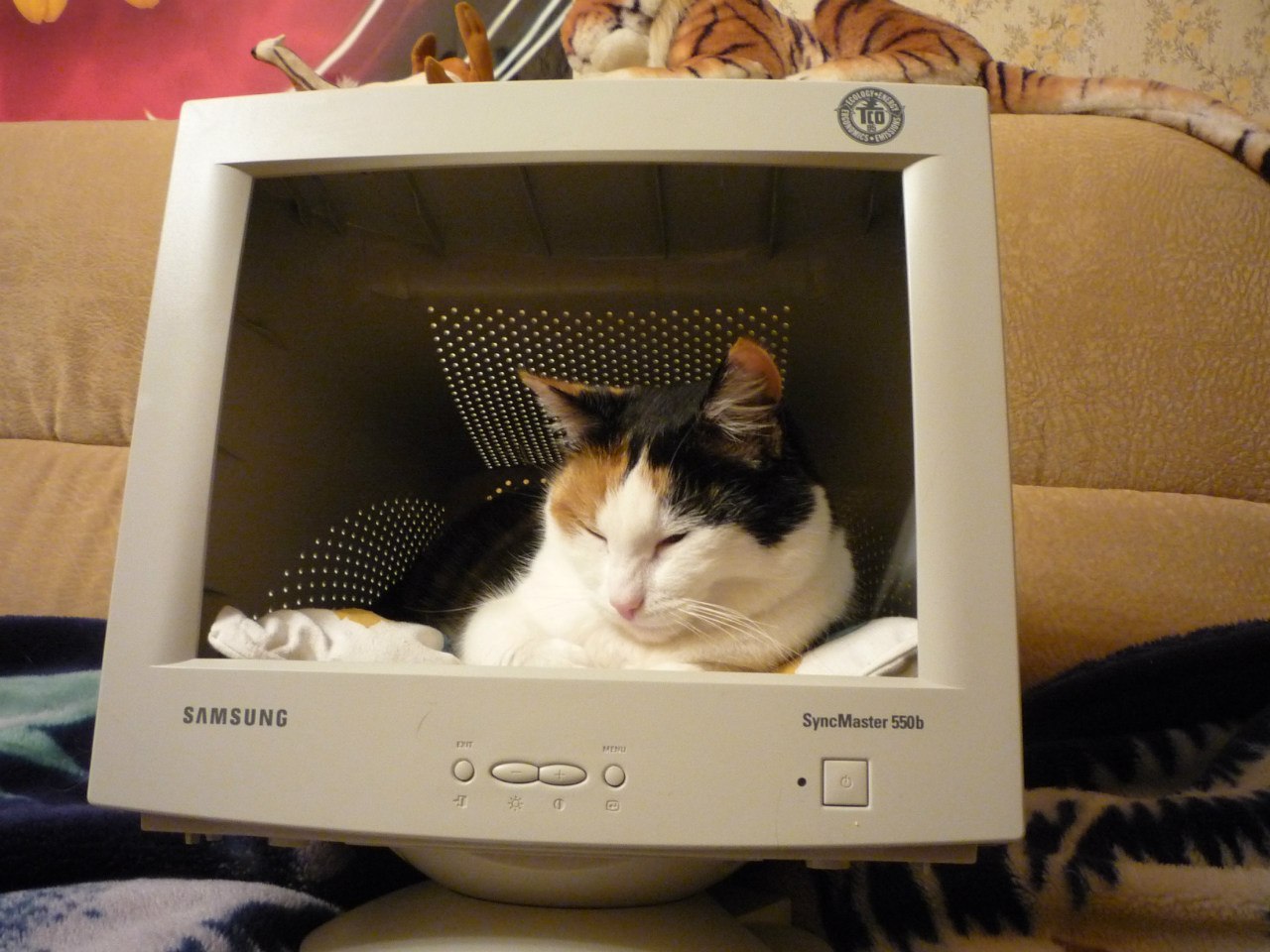 Кот 3D | Пикабу