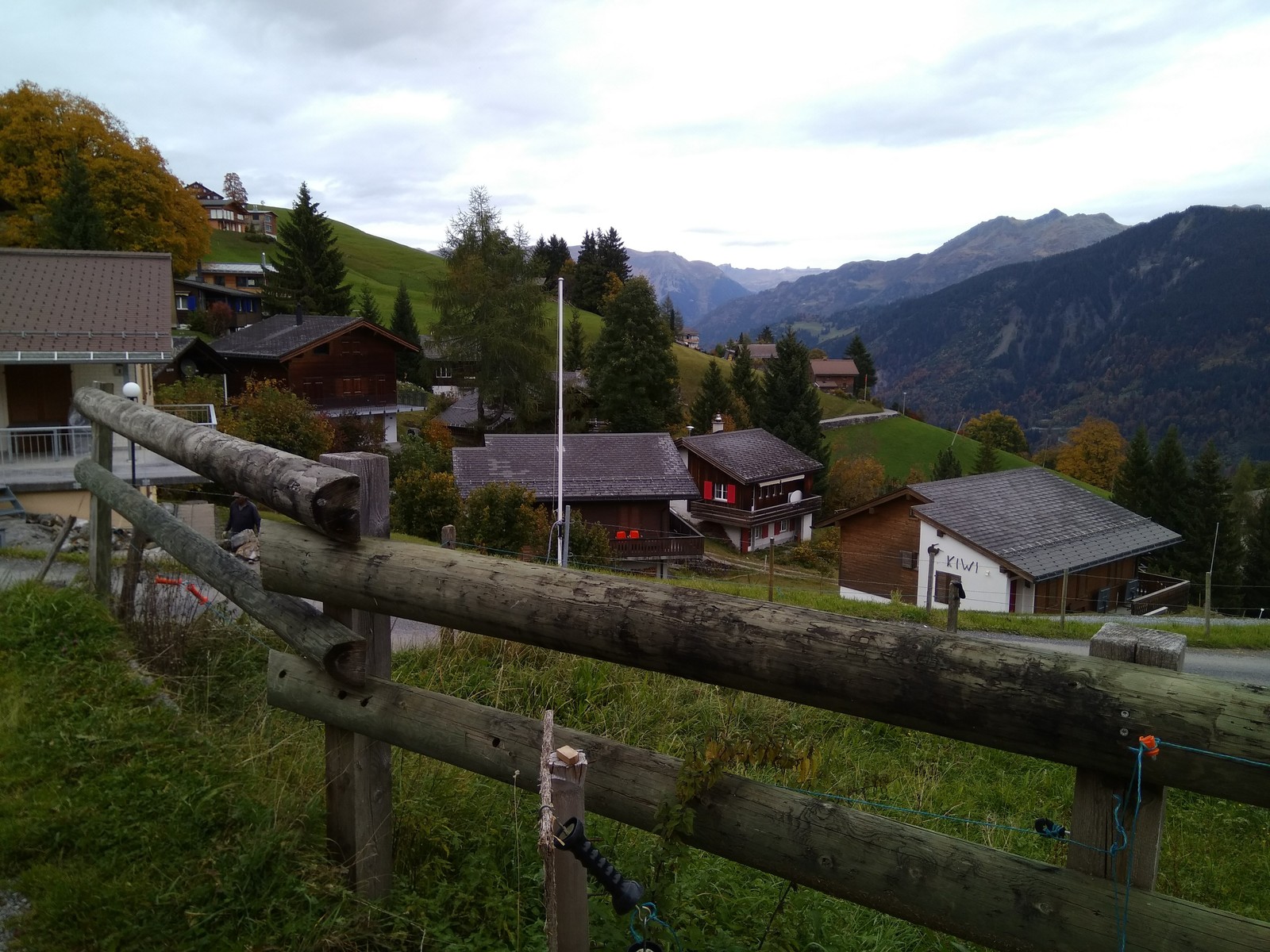 The story of one walk. - My, Longpost, Animals, Switzerland