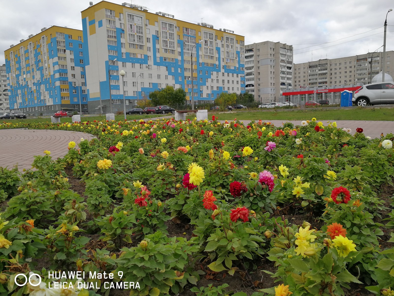 Прогулка по городу - Фотография, Дзержинск, Длиннопост, Кот, Huawei mate 9