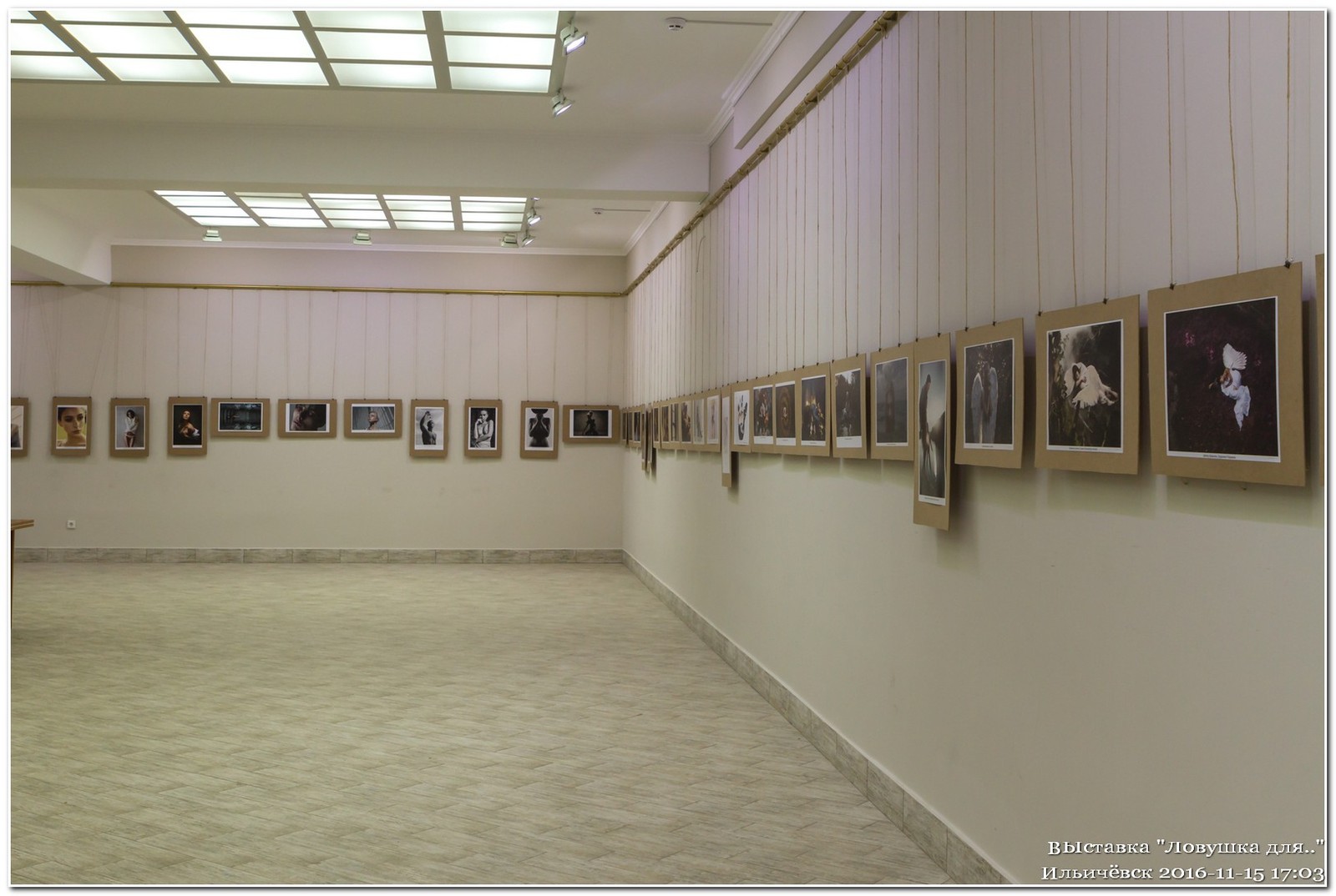 The sixth international photo exhibition A trap for.. - My, The photo, Exhibition, My, Enthusiasm, Gallery, , Nikon, Canon