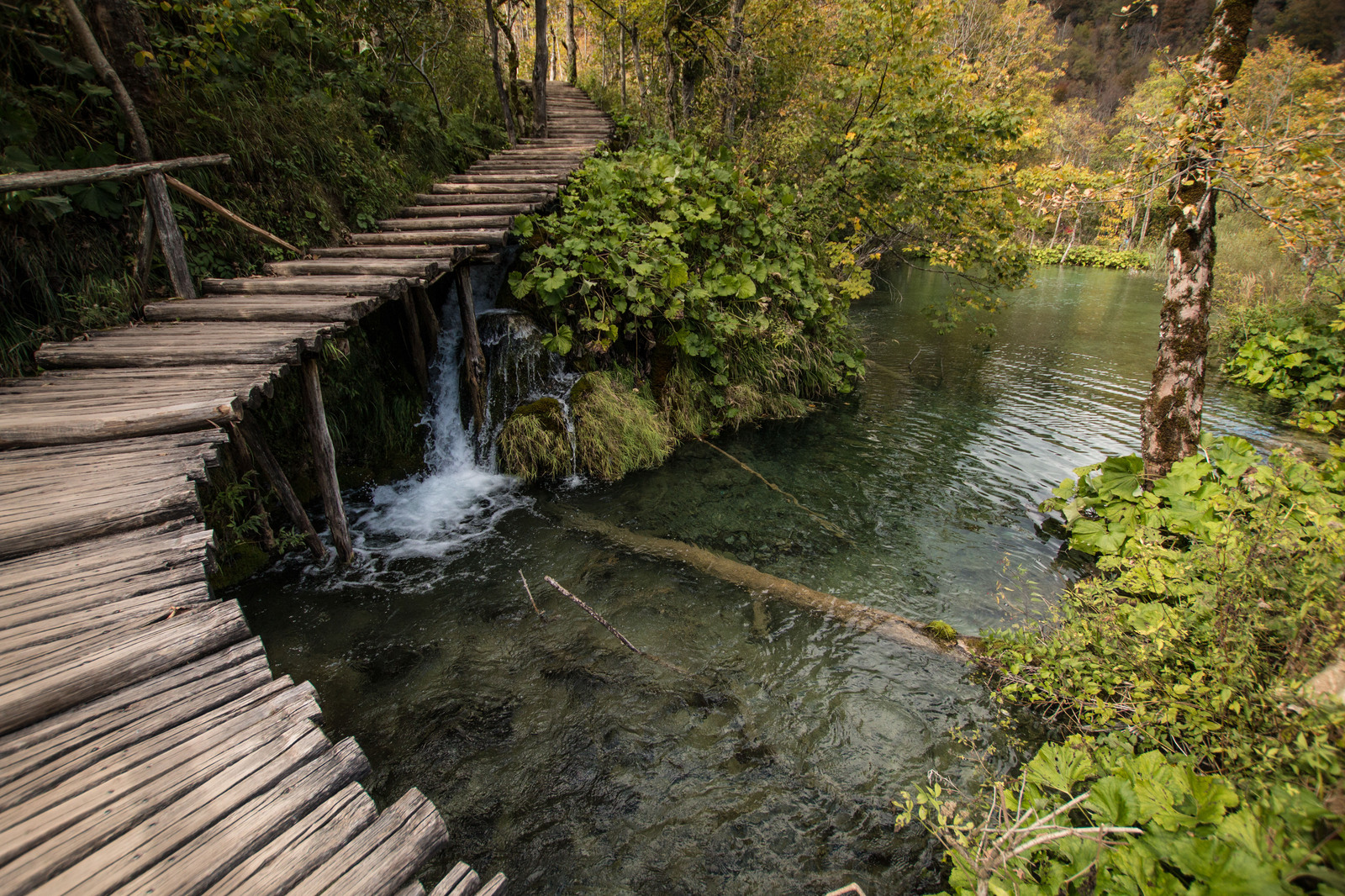 Plitvice lakes. Croatia - My, The photo, My, , Longpost