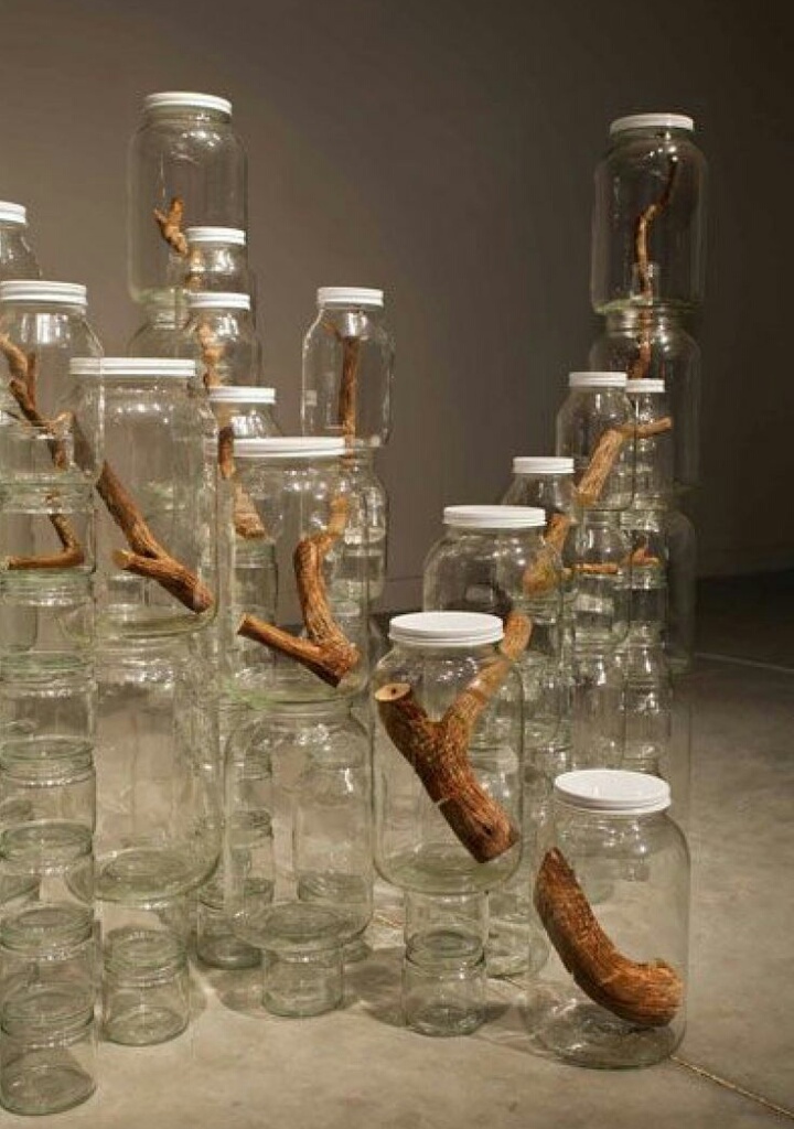 glass jars - Pinterest, A selection, Jar, Longpost