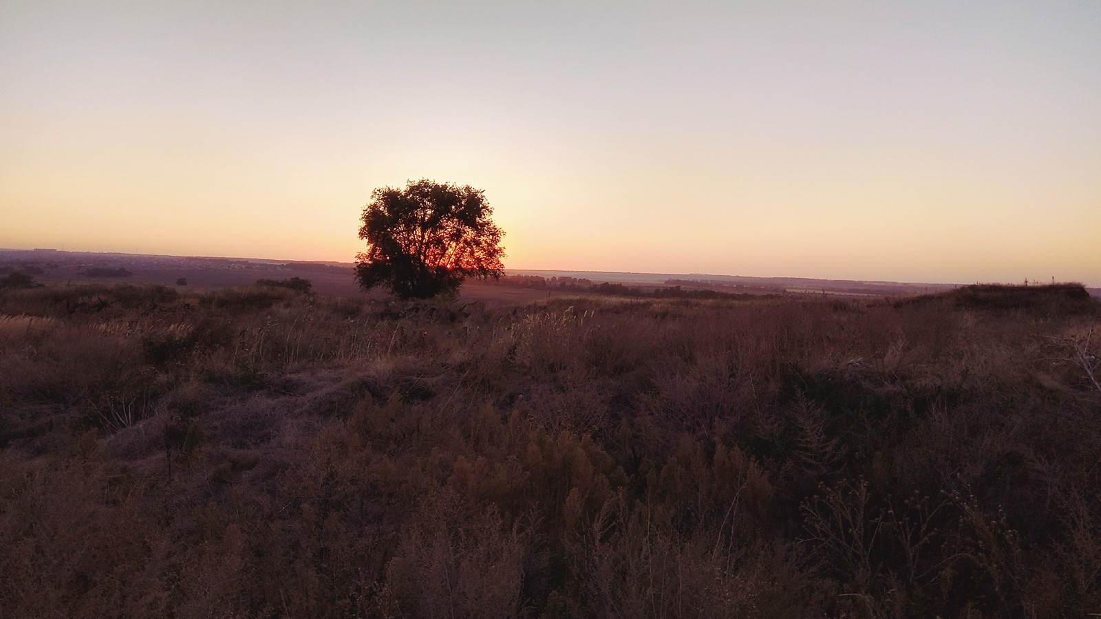 Sunset behind the tree - My, Sunset, Tree, Nature, The photo, Rate