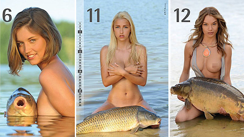 In the Czech Republic released a calendar with naked women and carp - NSFW, Carp, Beautiful girl, The calendar