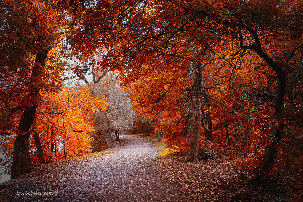 Autumn - My, My, The photo, Autumn