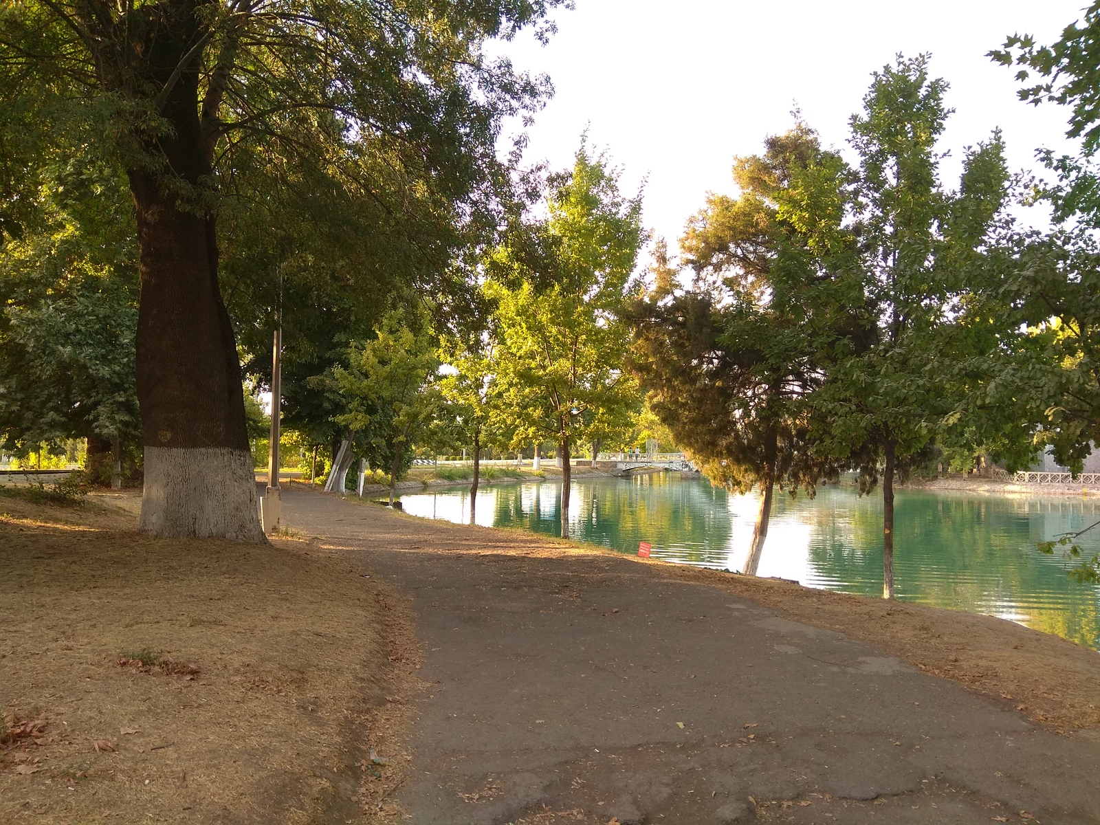 Tashkent. Former Komsomolskoye lake. Now the National Park. - My, Tashkent, , Longpost