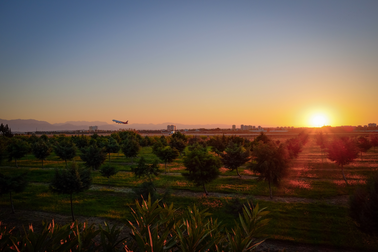 Havalimani. - My, The airport, Turkey, Airplane