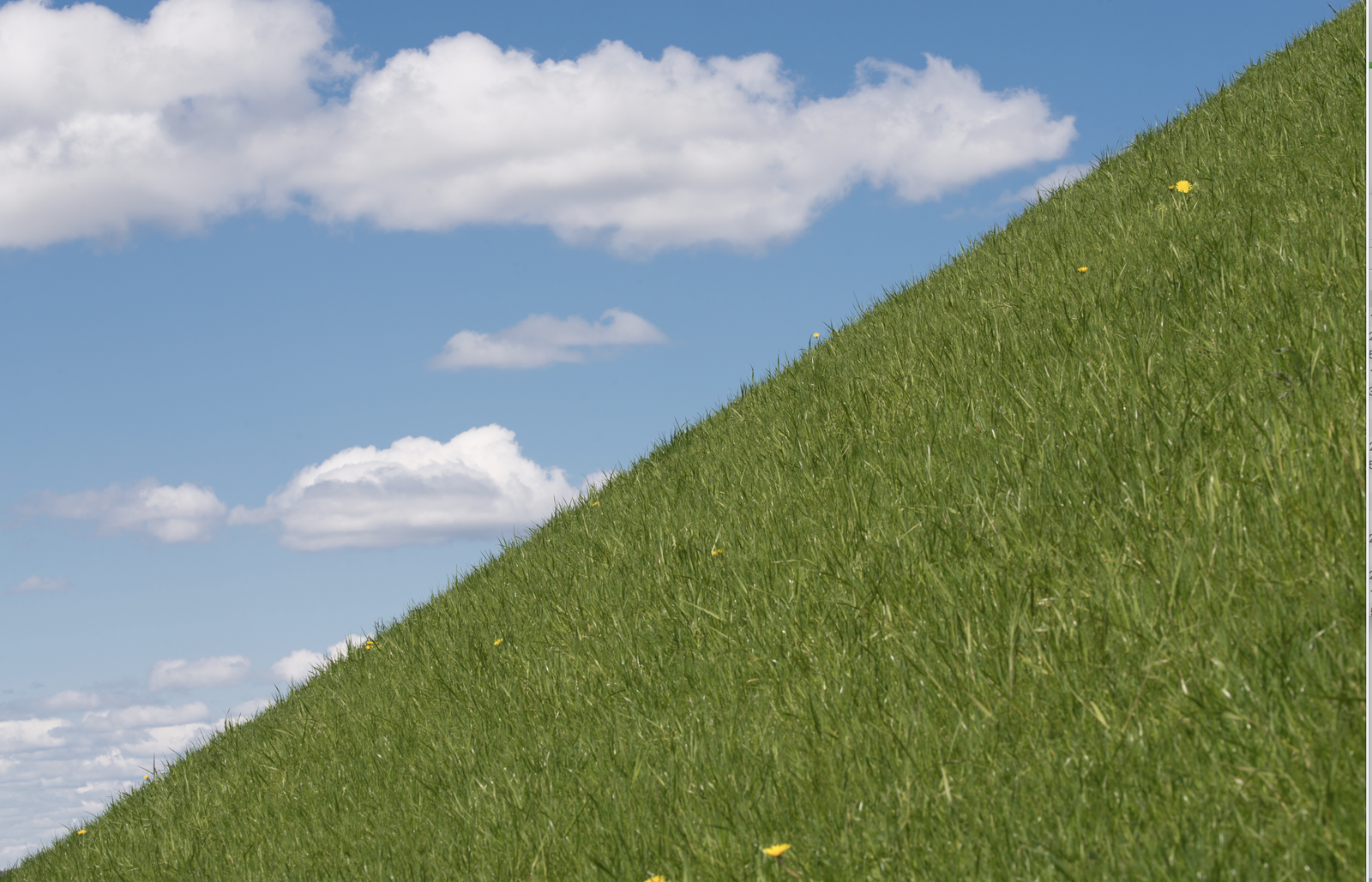 Not overwhelmed. Summer photo of the Mound of Glory - My, Nikon D610, , Mound of Glory, Republic of Belarus, Tamron