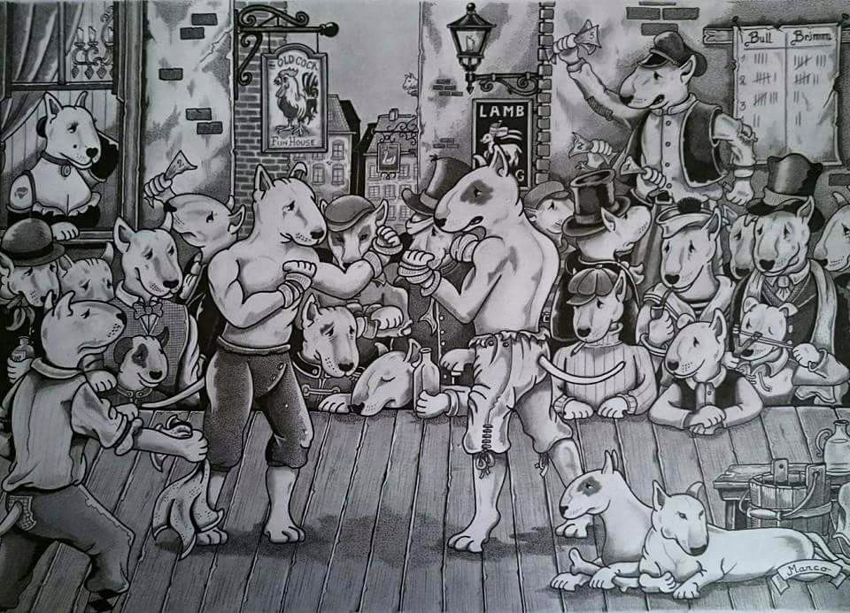 Fighting dogs. - Dog, Fighter, Boxing, Drawing