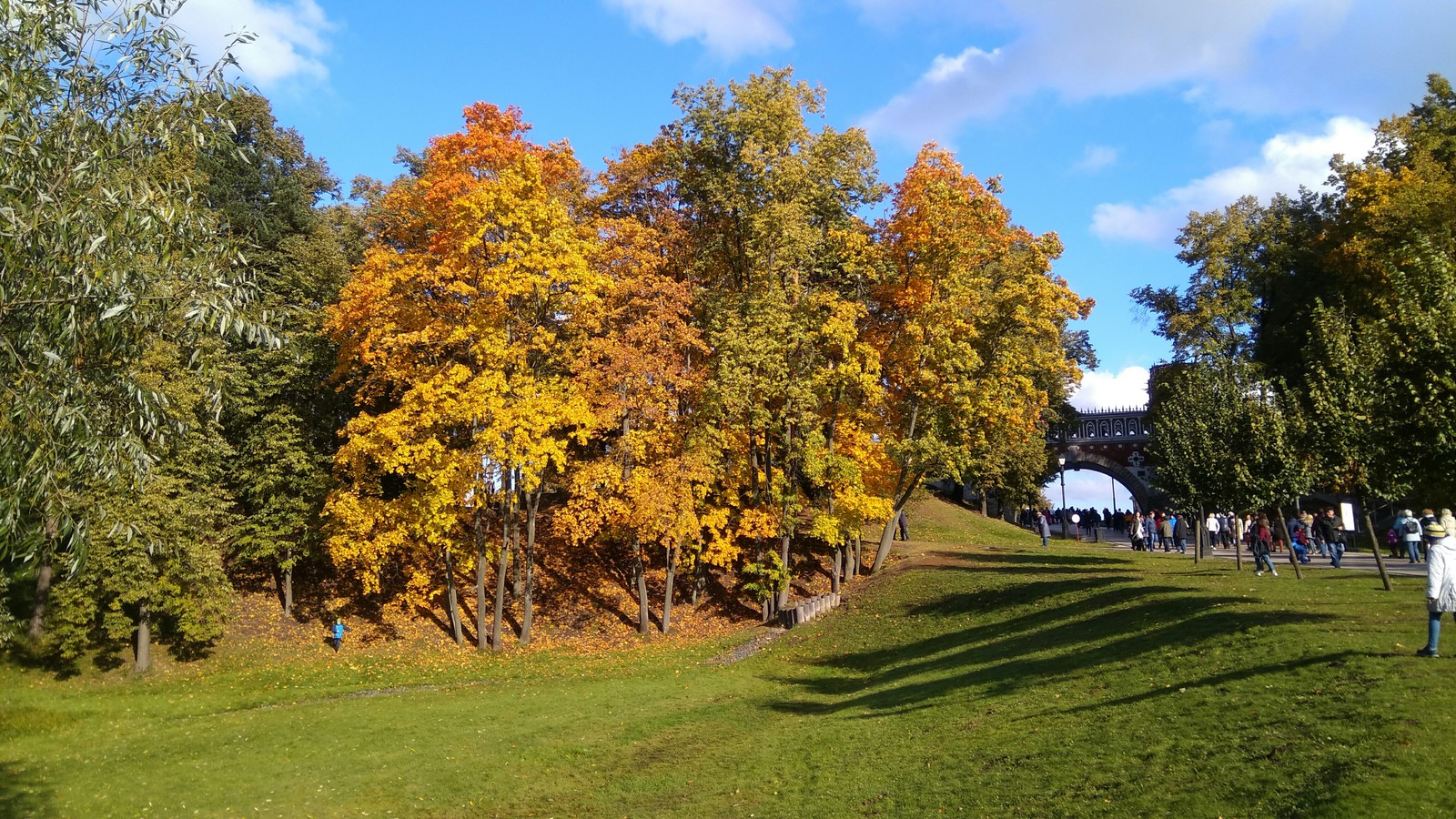 Golden autumn - My, Tsaritsyno, Longpost, Autumn, Xiaomi Mi Max