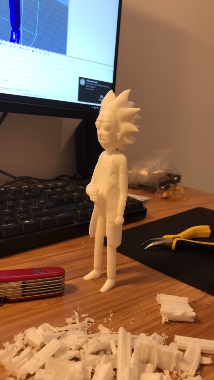 First experience with 3D printing - My, 3D printer, 3D печать, Rick and Morty, Longpost