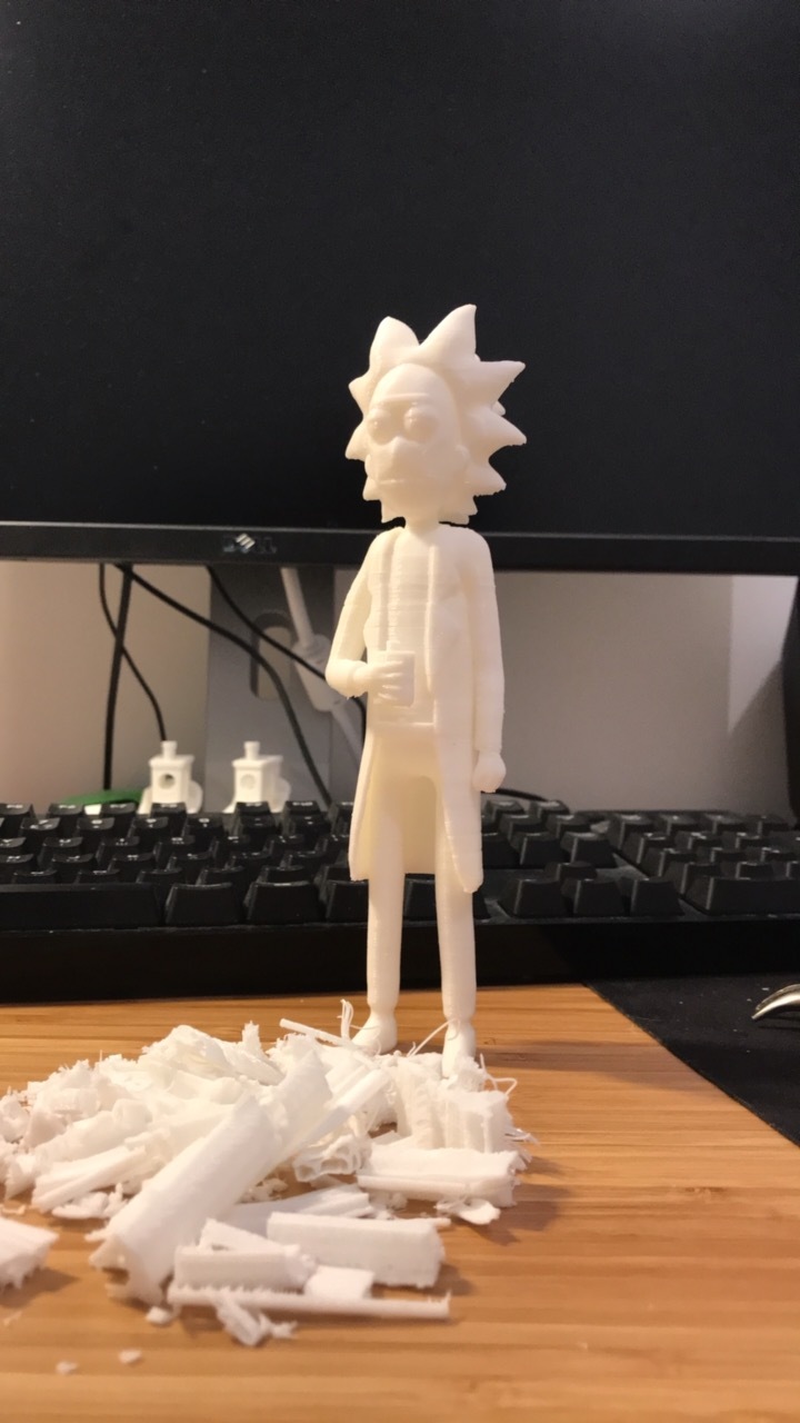 First experience with 3D printing - My, 3D printer, 3D печать, Rick and Morty, Longpost