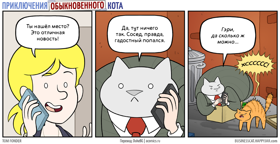 And again about the former business cat - Comics, Business cat, Happy jar, cat, New place