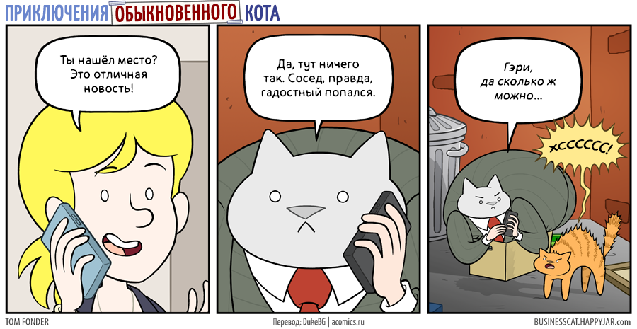 И снова про бывшего кота-бизнсмена - Комиксы, Business Cat, Happy jar, Кот, Новое место