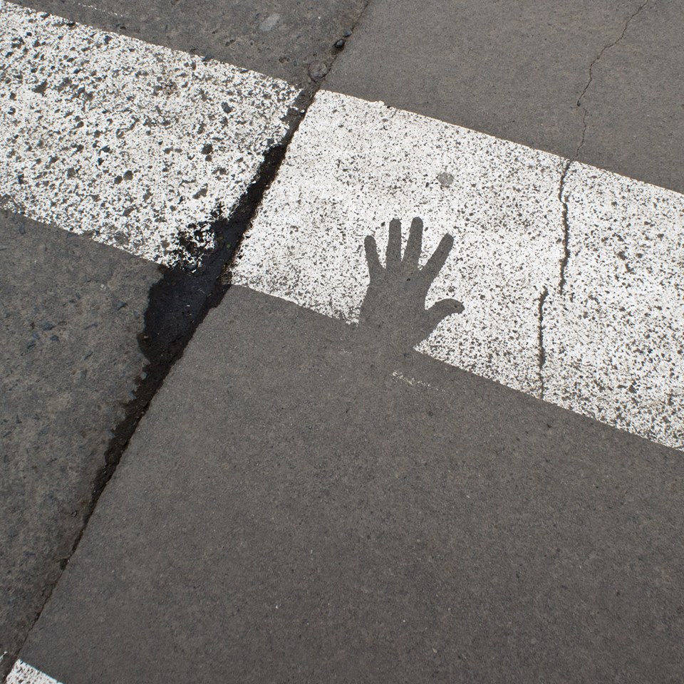 Who had a hand? - My, zebra, Crosswalk, Hand